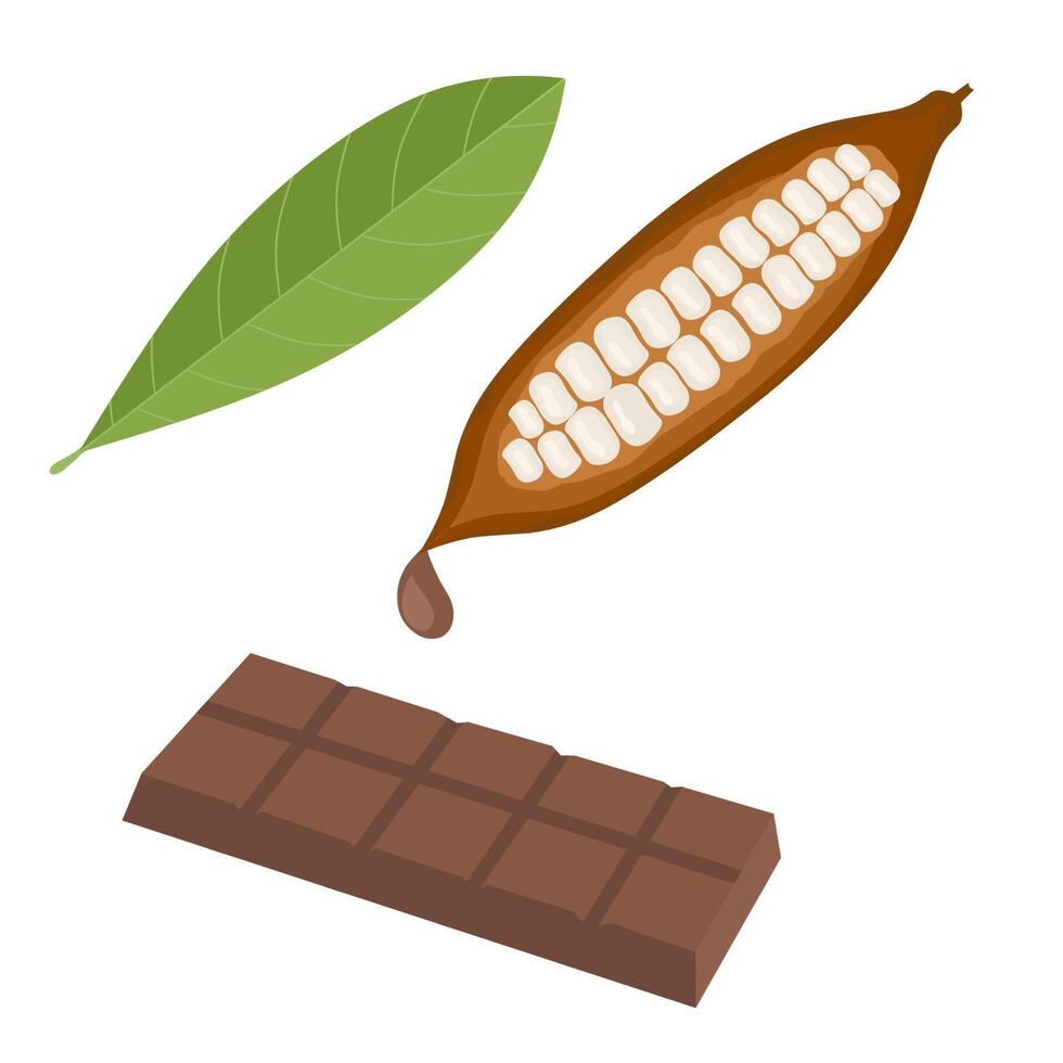 Vector illustration of cocoa pods graphics. Image of Dried Cocoa with nuts, chocolate bars and cocoa leaves. On a white background. Great for raw to cooked chocolate product icons and web logos.