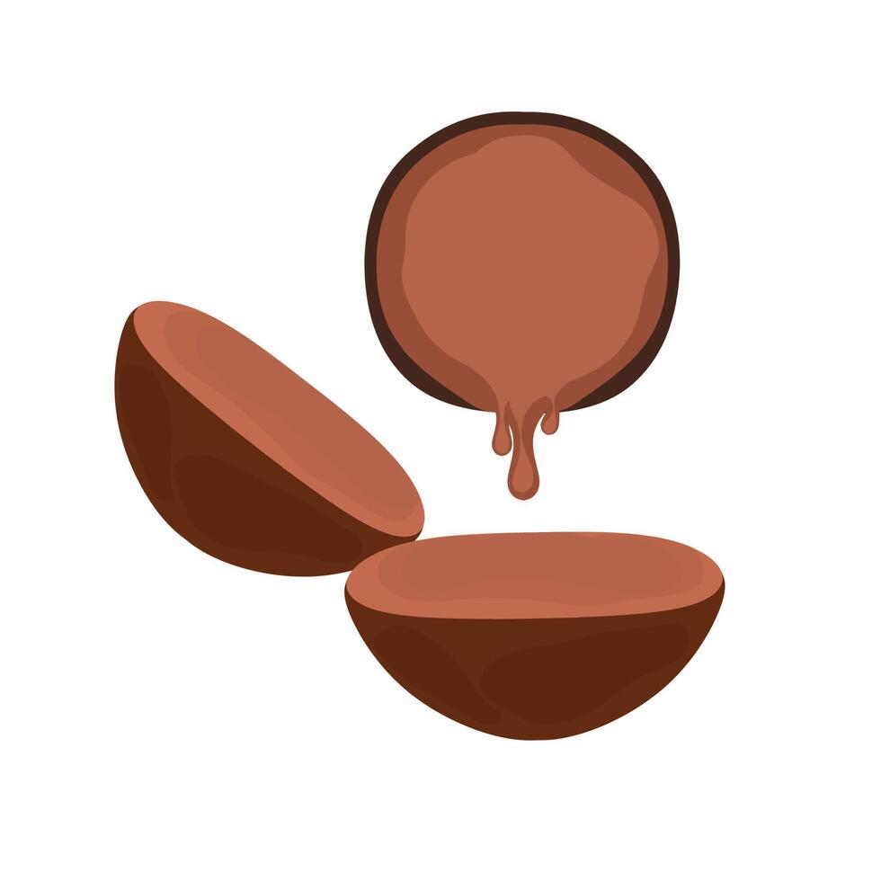 ilustración vectorial del proceso de elaboración de azúcar moreno o azúcar de palma o azúcar java. el azúcar de palma líquido se vierte de la cáscara de coco. con un fondo blanco. perfecto para íconos de bolsitas de dulces. vector