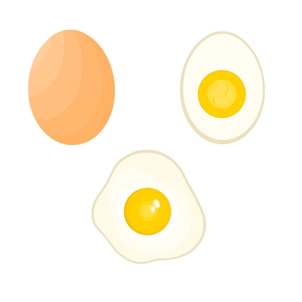 ilustración vectorial de huevos enteros fritos, duros, a la mitad, en rodajas. huevos de gallina de dibujos animados en varias formas. ideal para logotipos web, portadas de libros y carteles publicitarios de aves de corral. vector