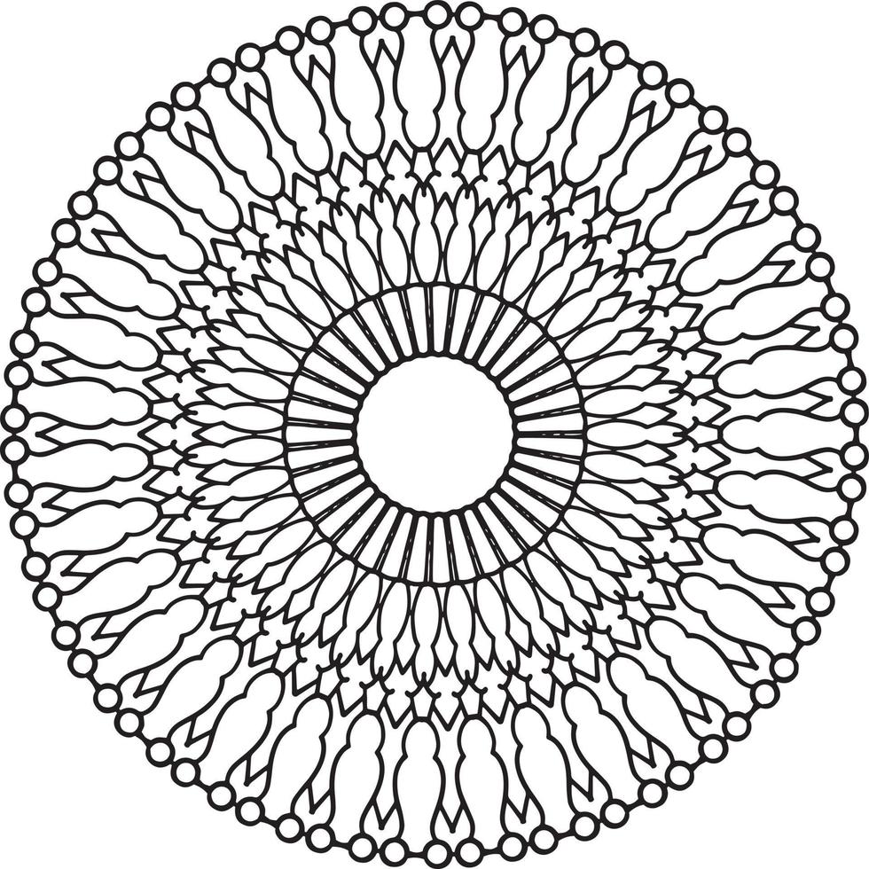 Mandala black and white design with royal artwork vector