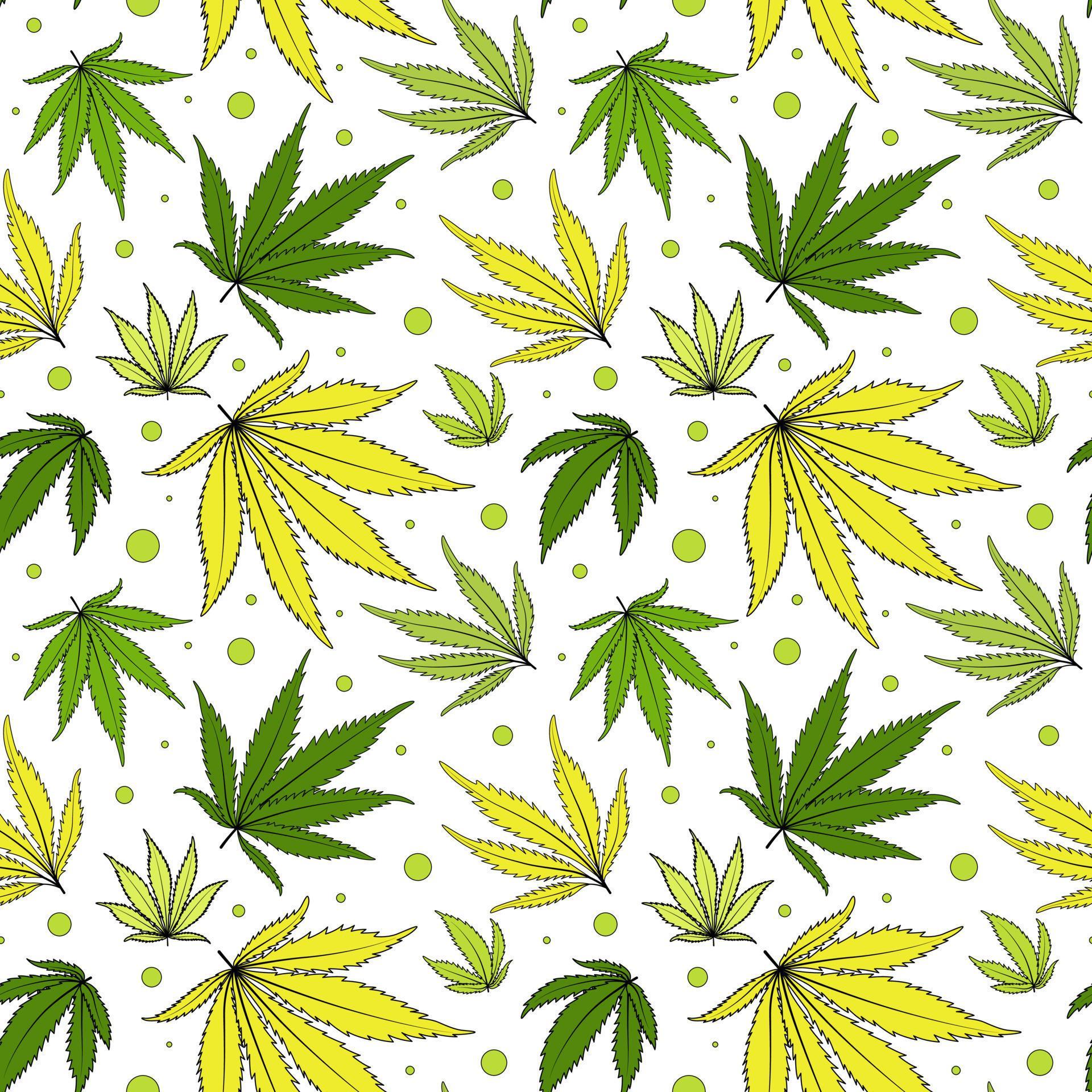 Cannabis leaves vector seamless pattern. Green weed digital paper on a Cannabis leaves vector seamless pattern. Green weed digital paper on a
