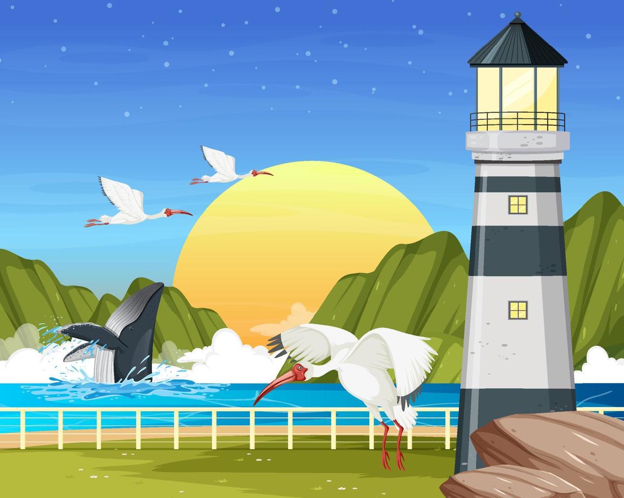 Lighthouse at coast view with American white ibis birds vector