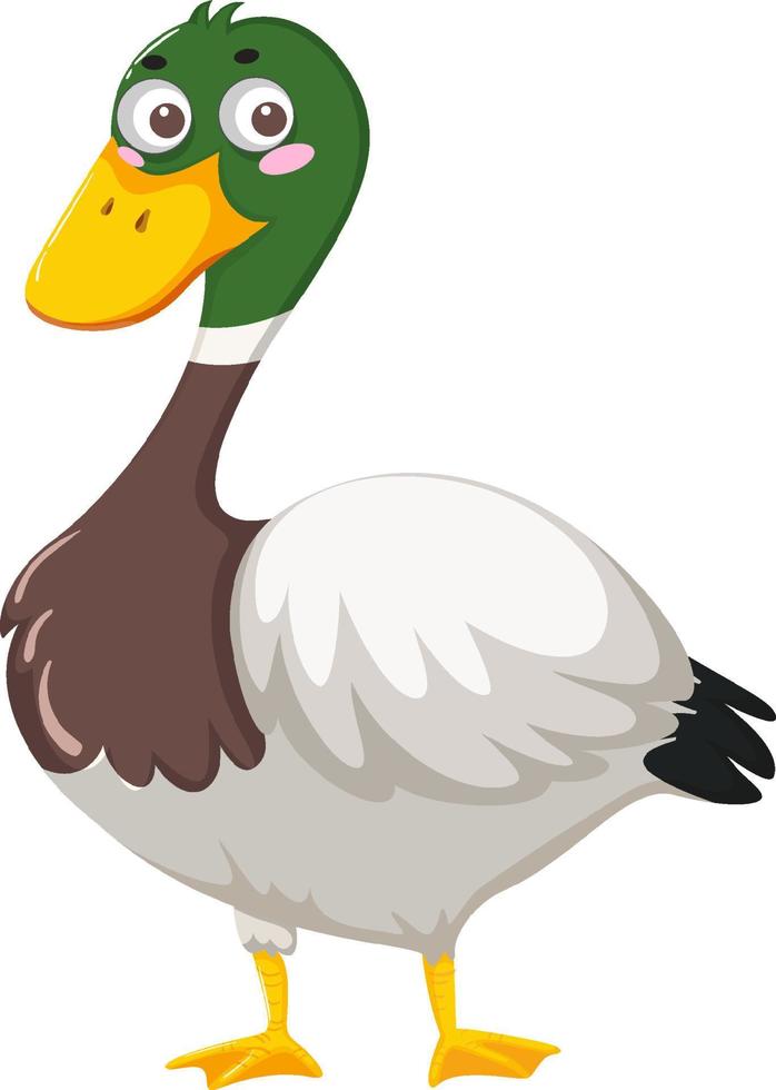 Duck cartoon character on white background vector