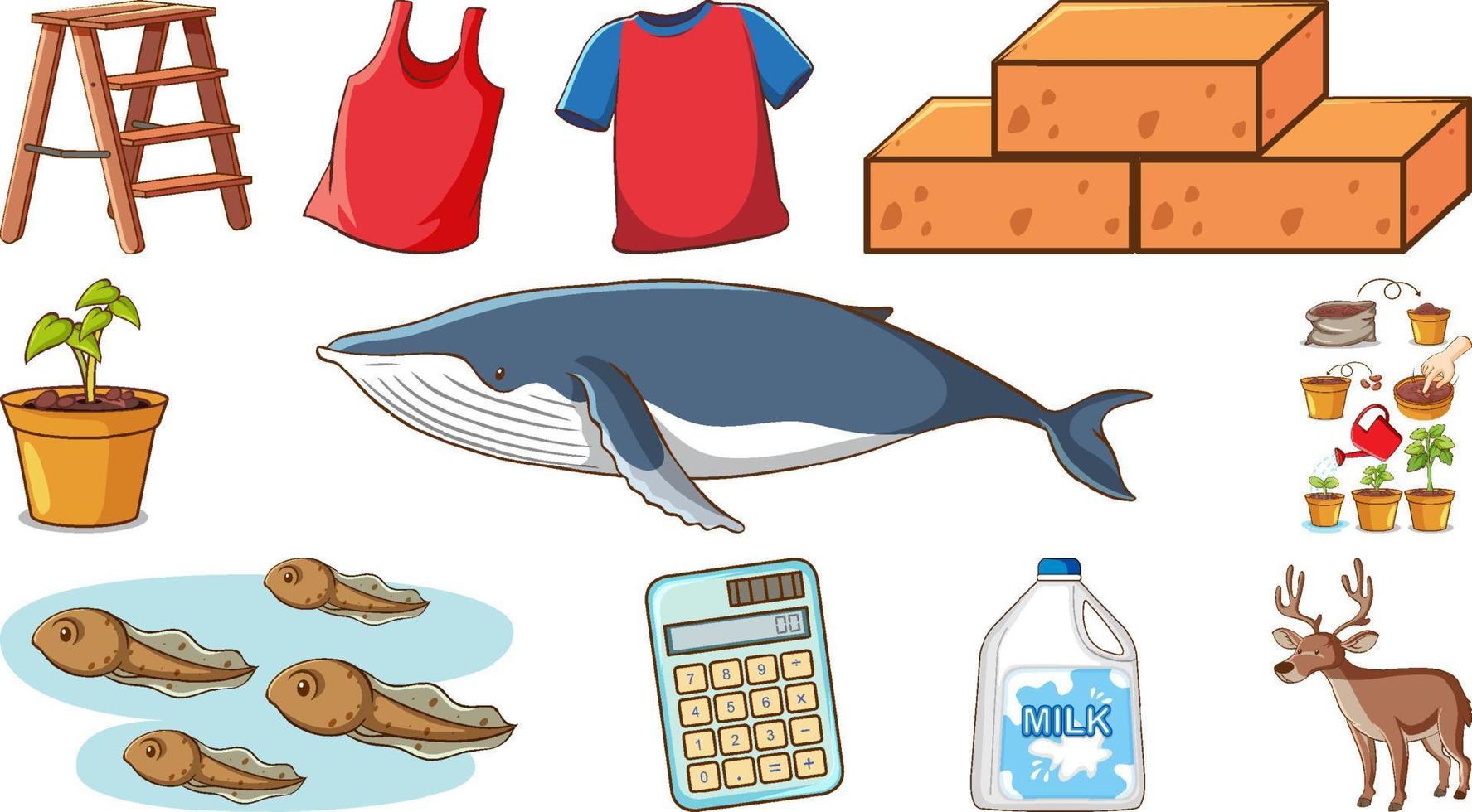Cute animals and other items on white background vector