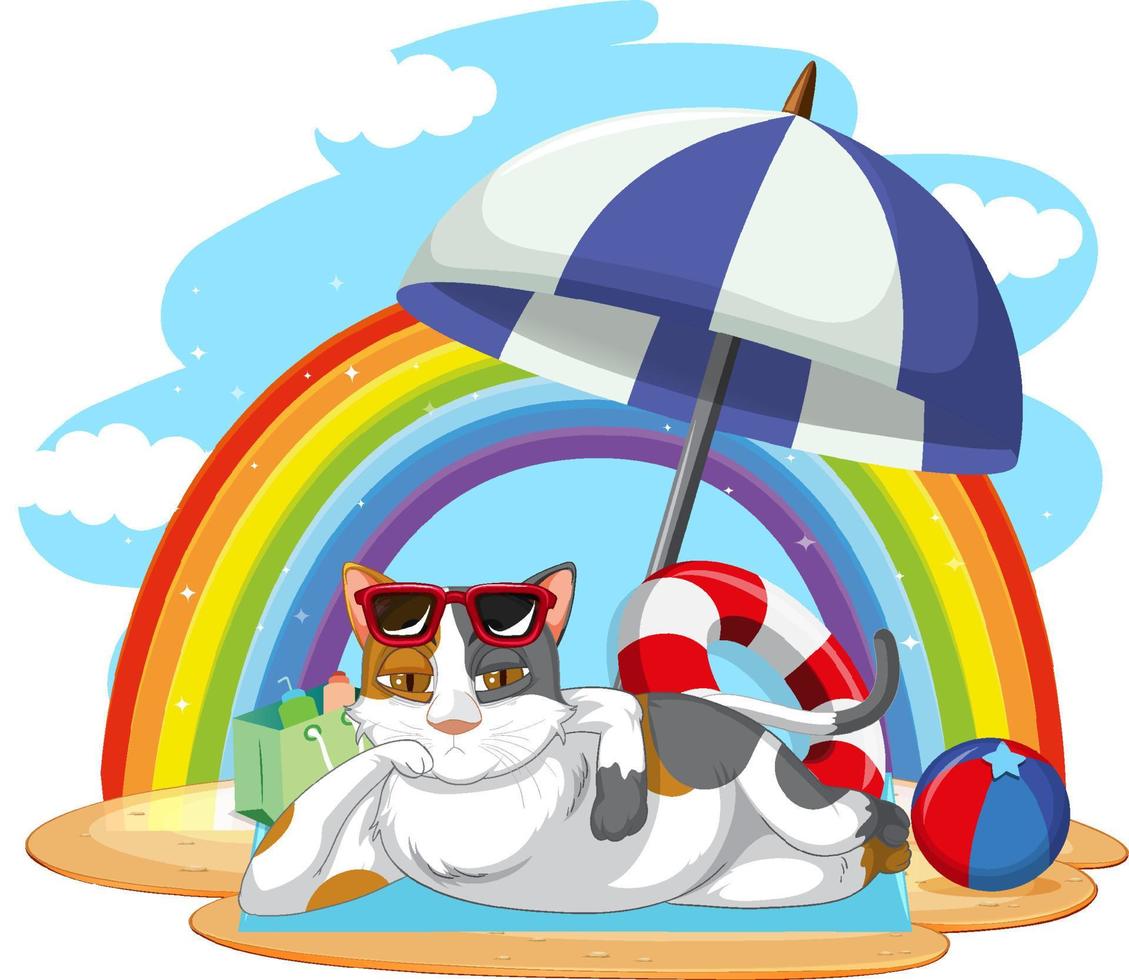 A cat  relax on beach vector