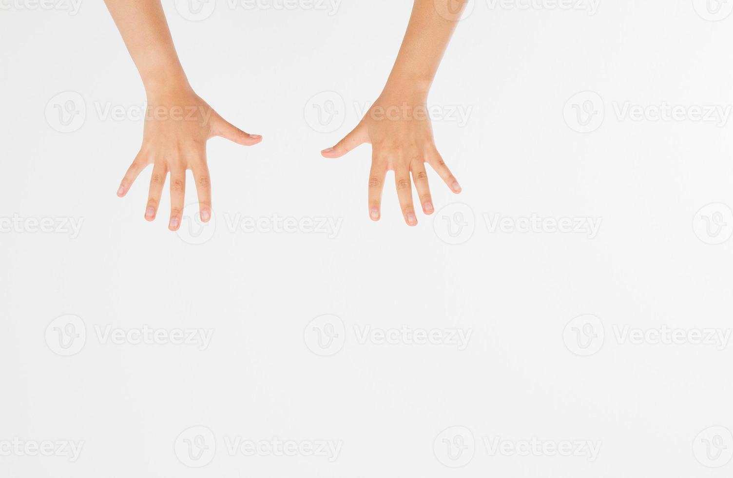 Two close woman hands isolated on white background. Copy space. photo