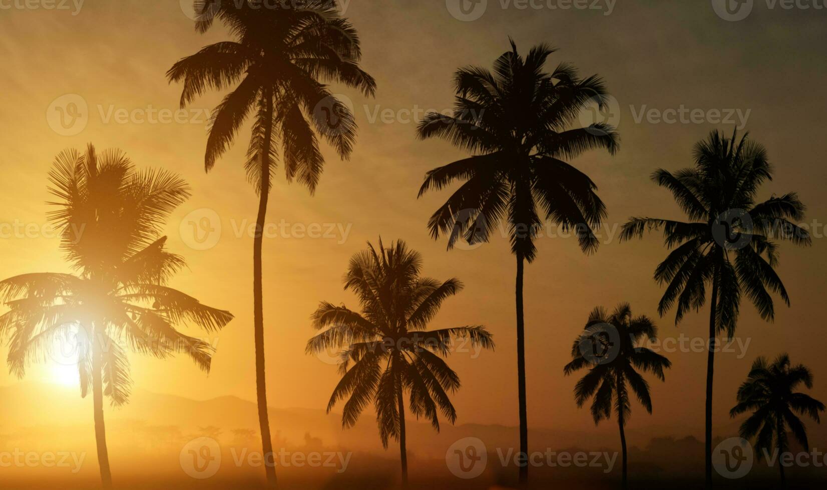 Silhouette of palm trees at sunset background. photo