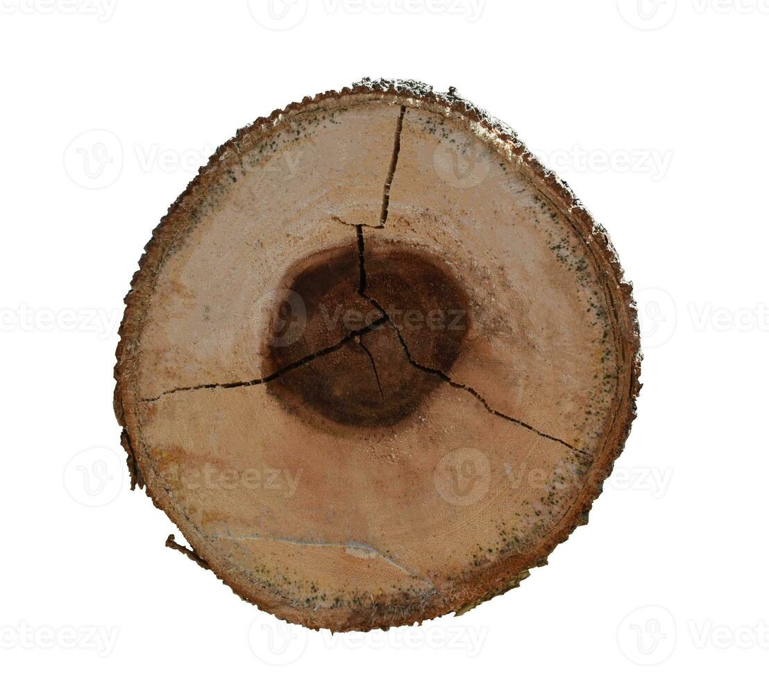 wooden stump isolated on white background. Object with clipping path photo