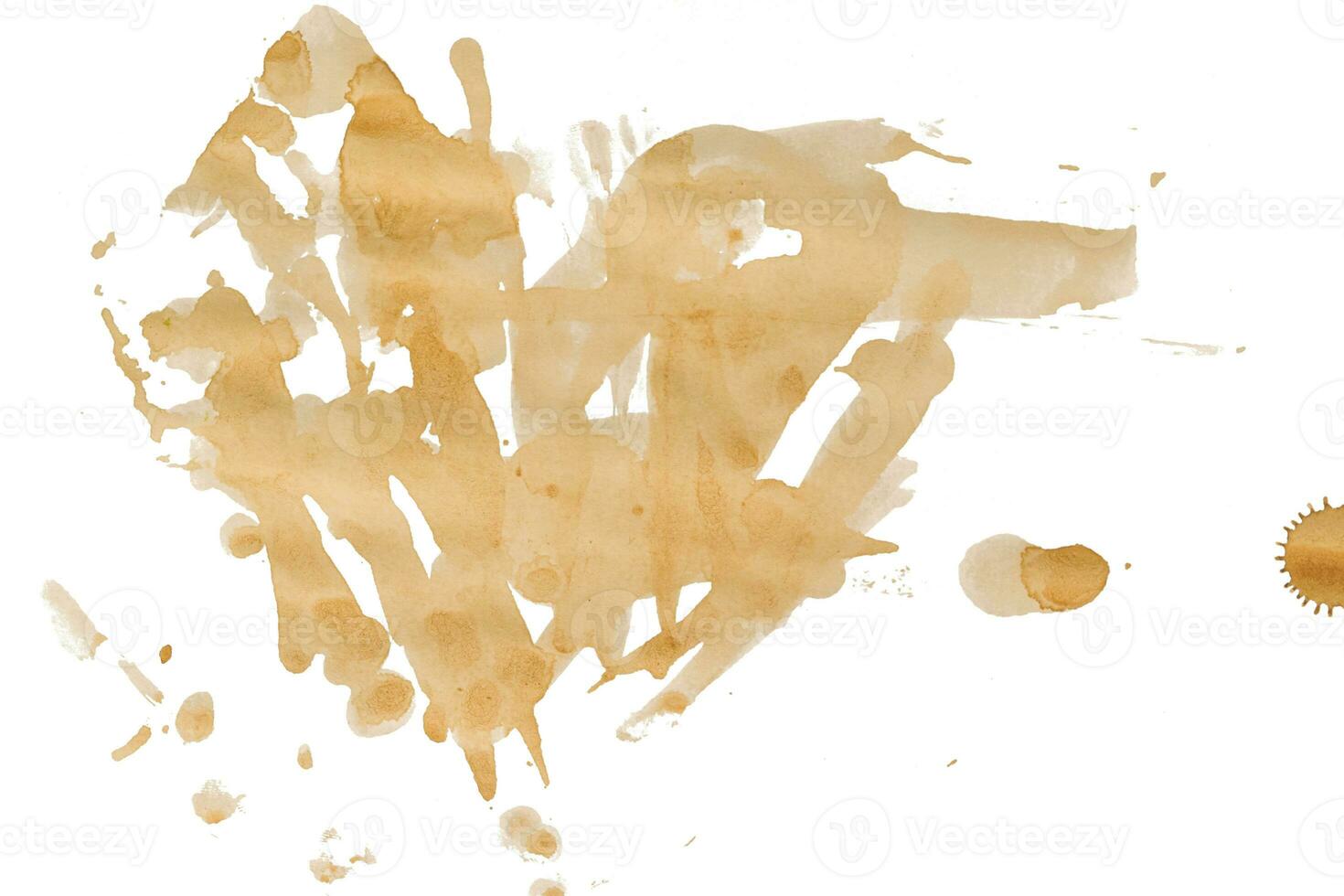 Stains of a coffee isolated on white background. photo