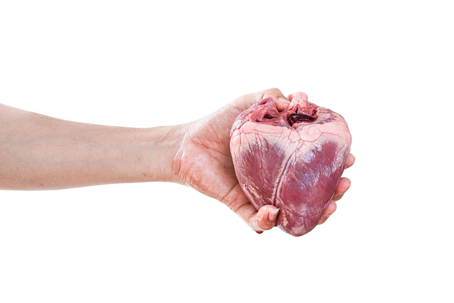 corazón humano en la mano aislado sobre fondo blanco. con trazado de recorte foto