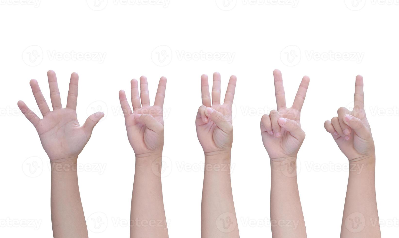 mano de los niños que muestra de uno a cinco dedos aislados en fondo blanco, con trazado de recorte. foto
