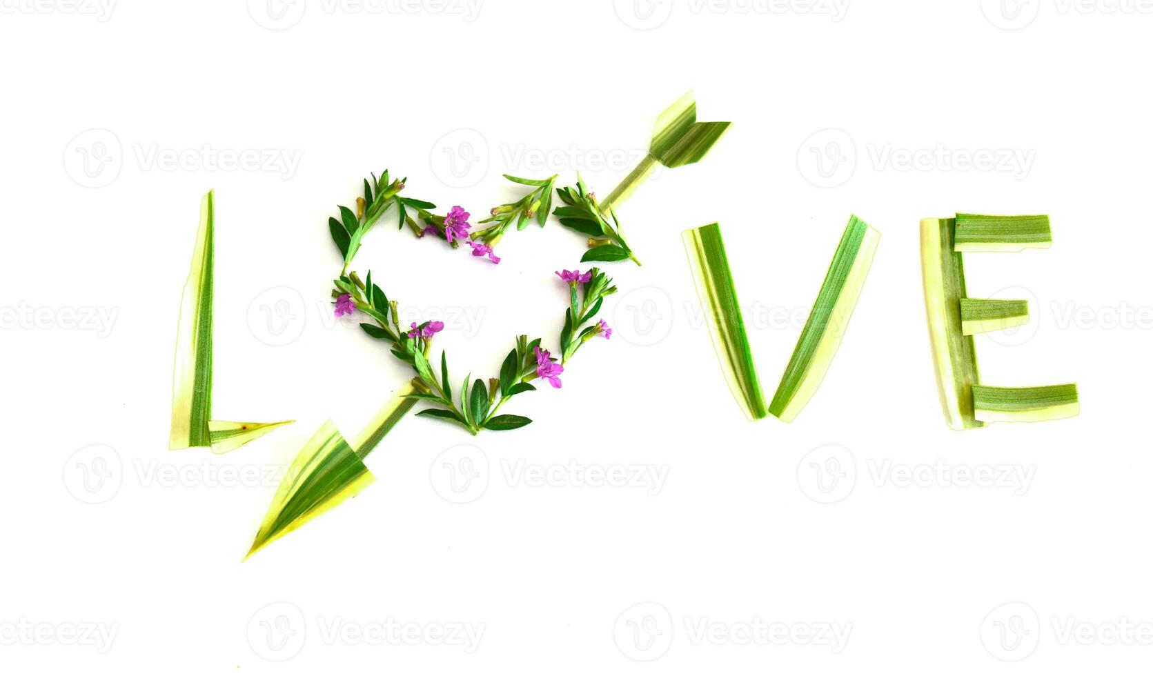 Heart of word LOVE with arrow made of flower and leaves. Love concept. photo