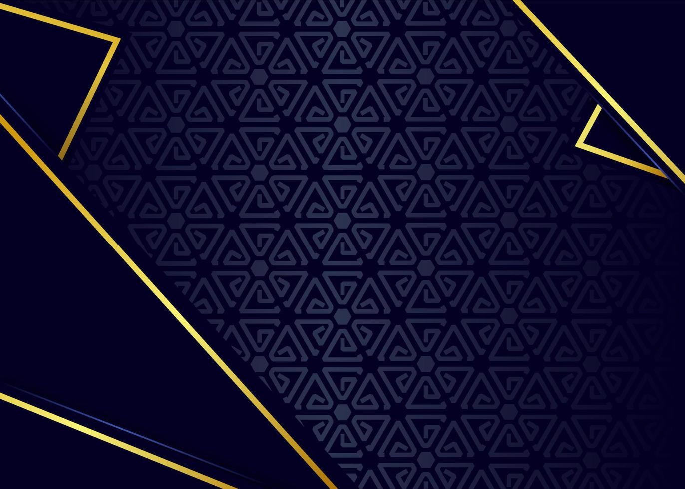 abstract luxury background vector