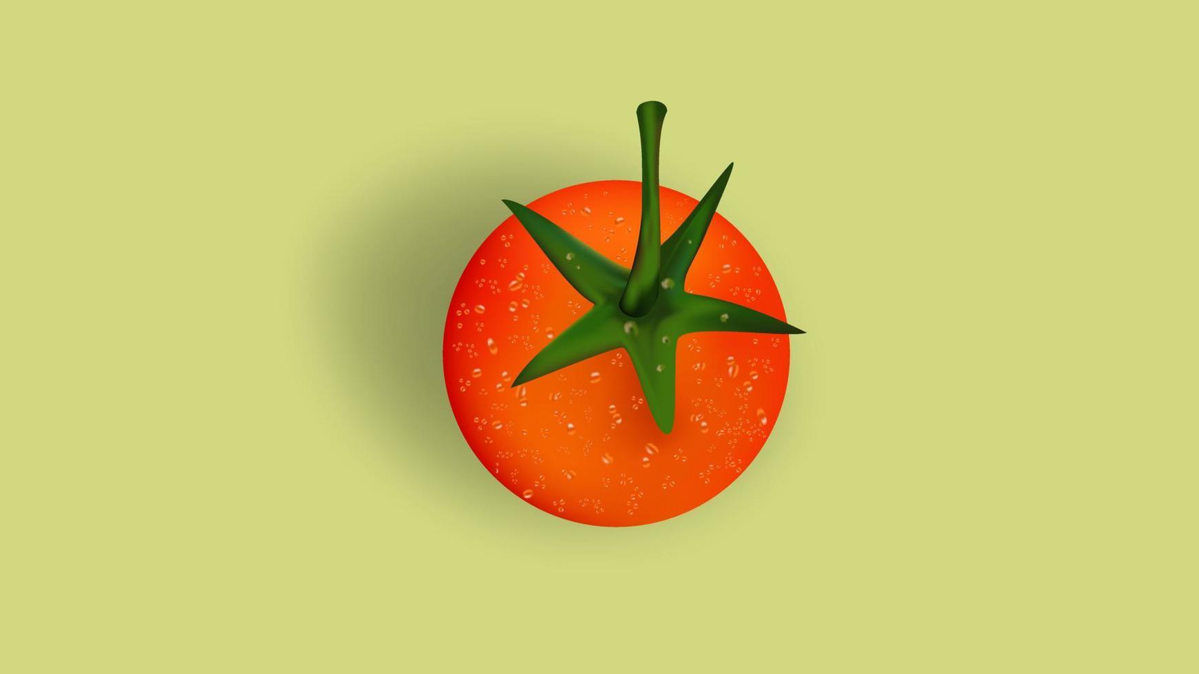 gráfico vectorial de ilustración realista de tomate usando un esquema de color naranja y verde. adecuado para hacer negocios de frutas y verduras o diseño de promoción culinaria vector