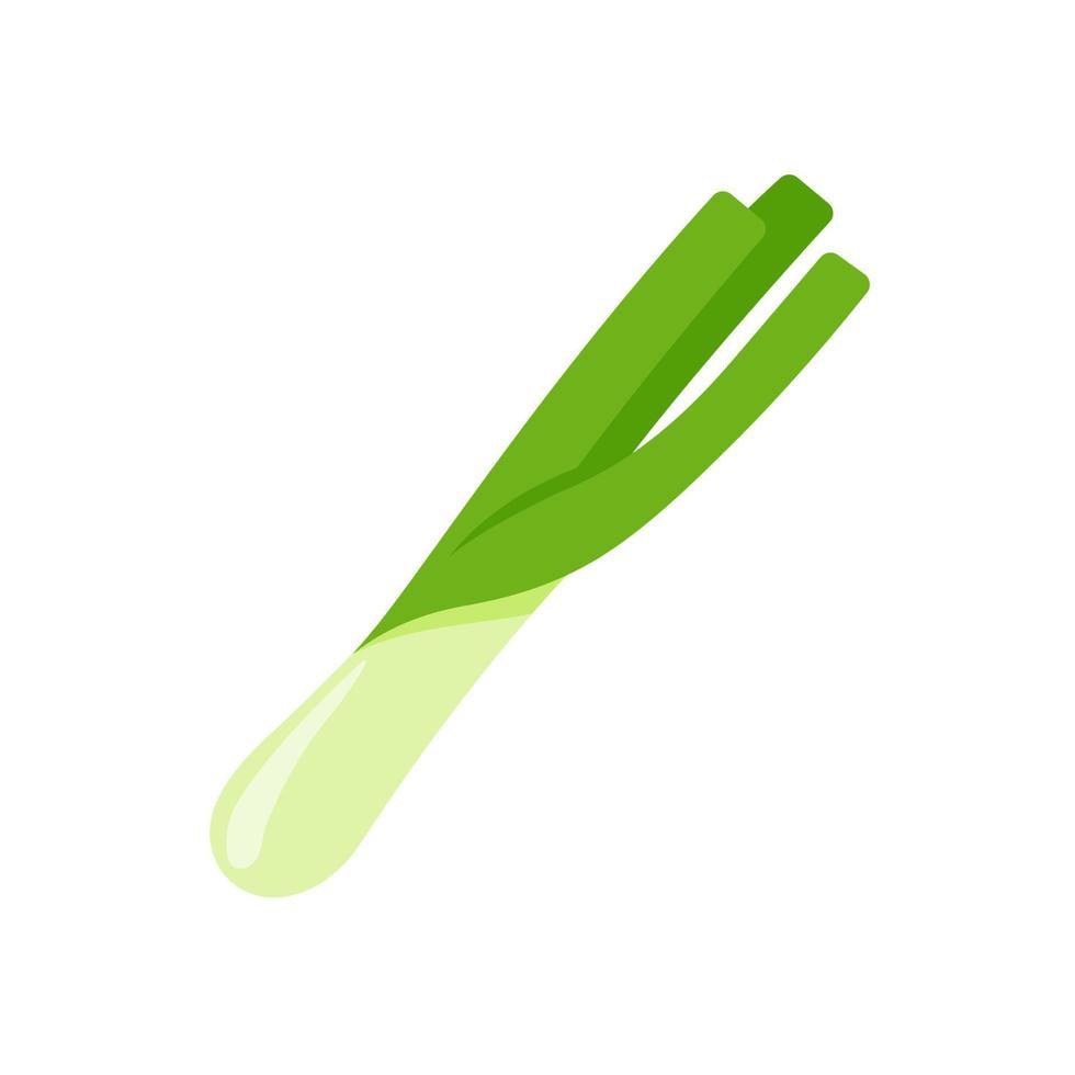 Spring onions. ingredients for cooking vector