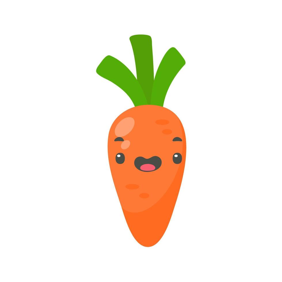 Orange carrots. a fruit that is high in vitamins. for healthy cooking vector
