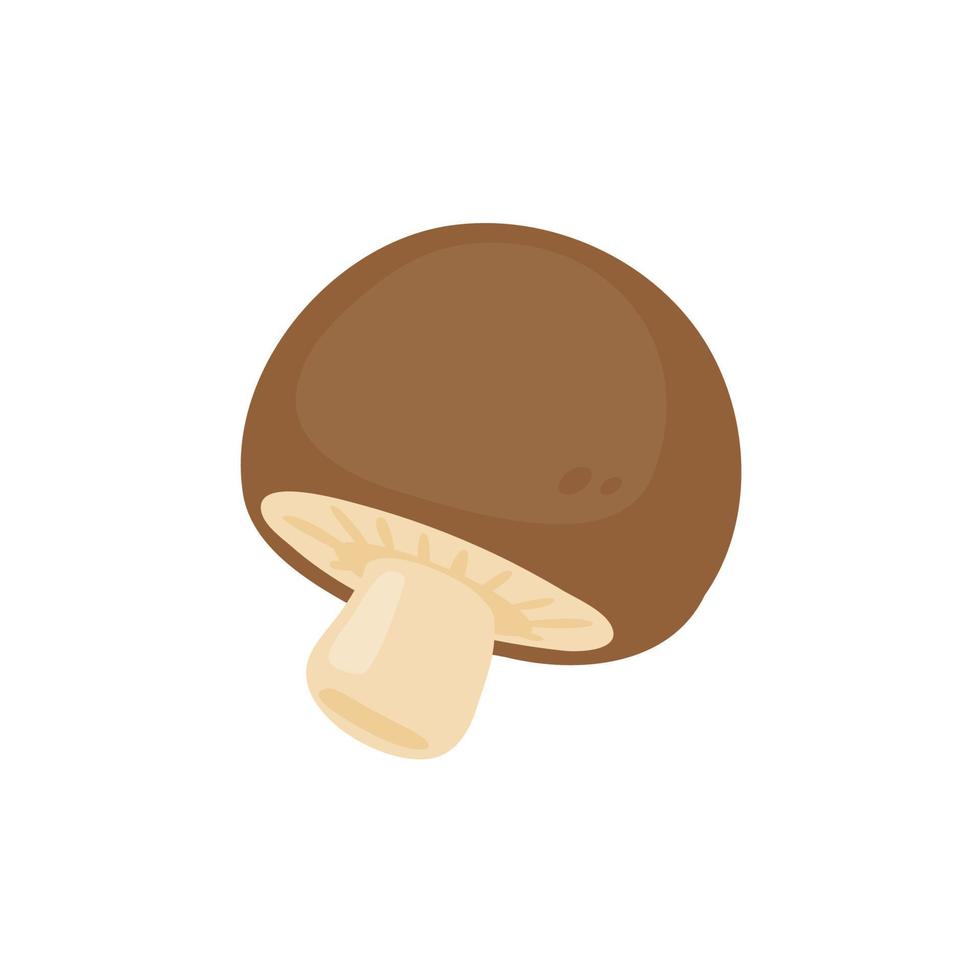 Mushroom vector. raw materials for cooking vector