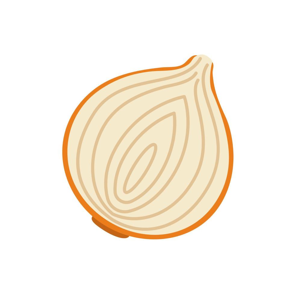 Onion vector. raw materials for cooking vector