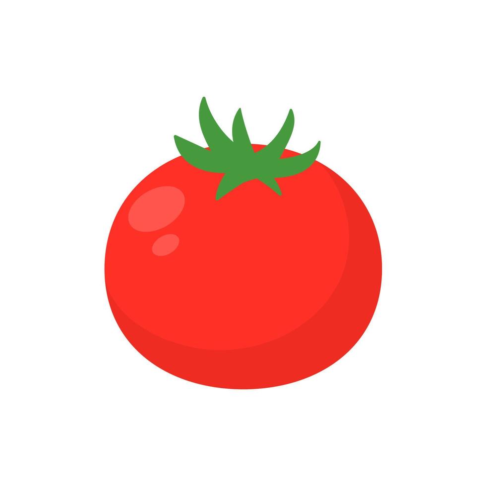 ingredientes de tomates rojos brillantes para una cocina saludable vector