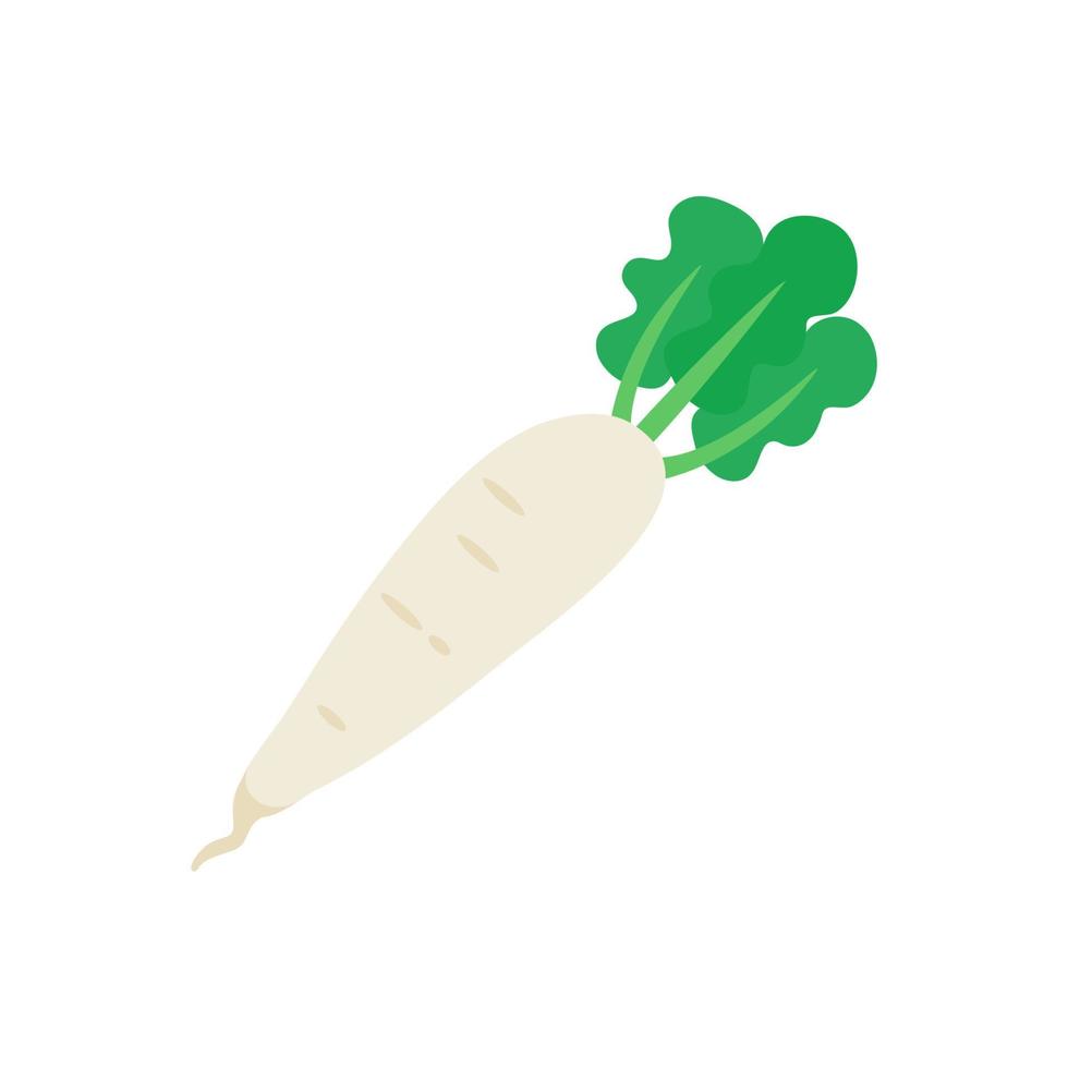 white radish Ingredients for Healthy Cooking vector