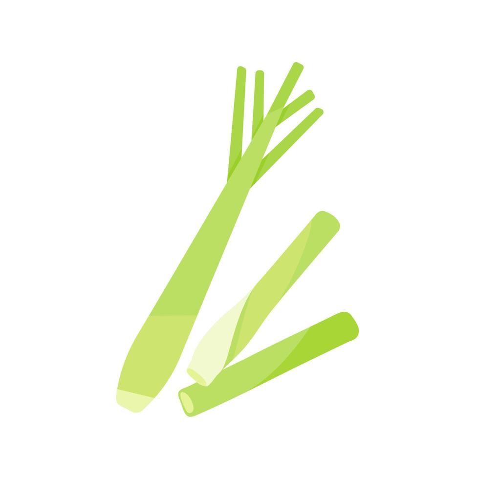 Lemongrass. A nourishing herb for cooking. vector