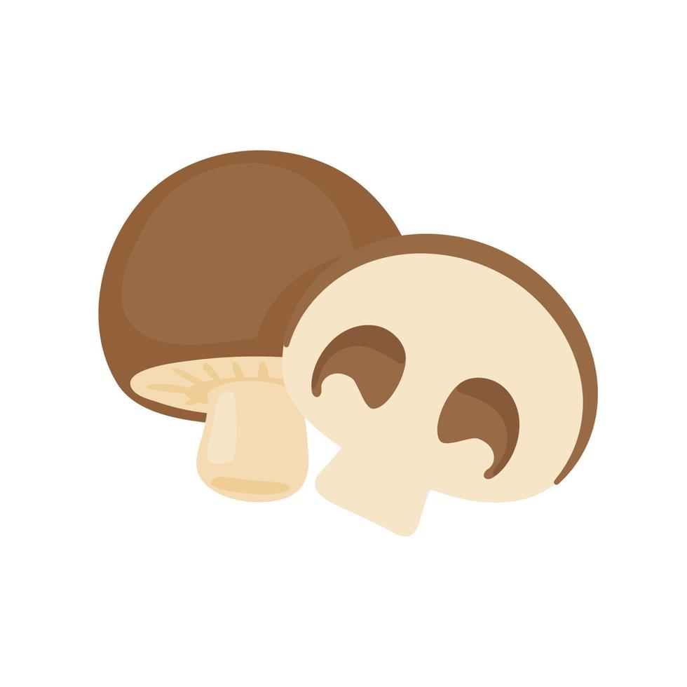 Mushroom vector. raw materials for cooking vector