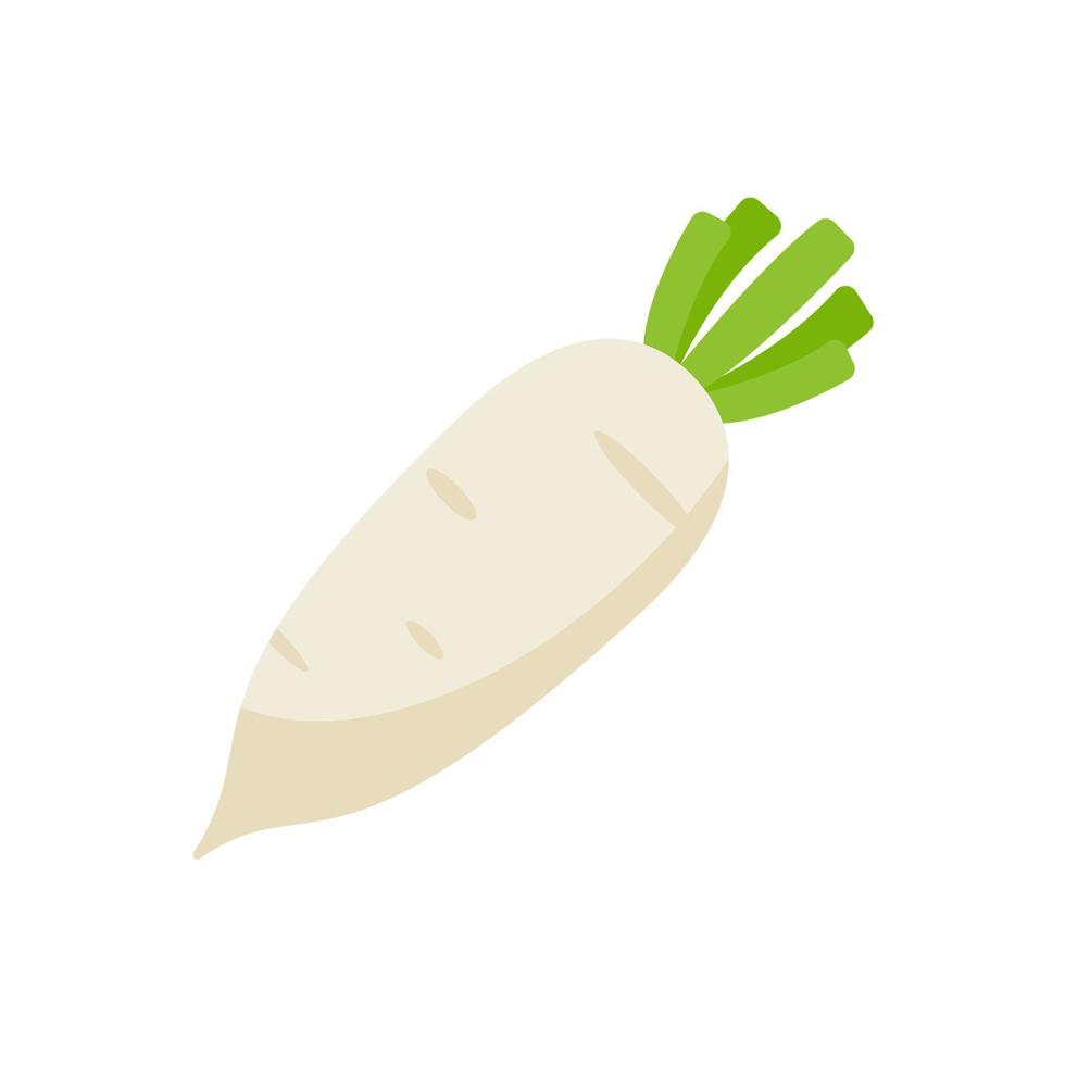 white radish Ingredients for Healthy Cooking vector