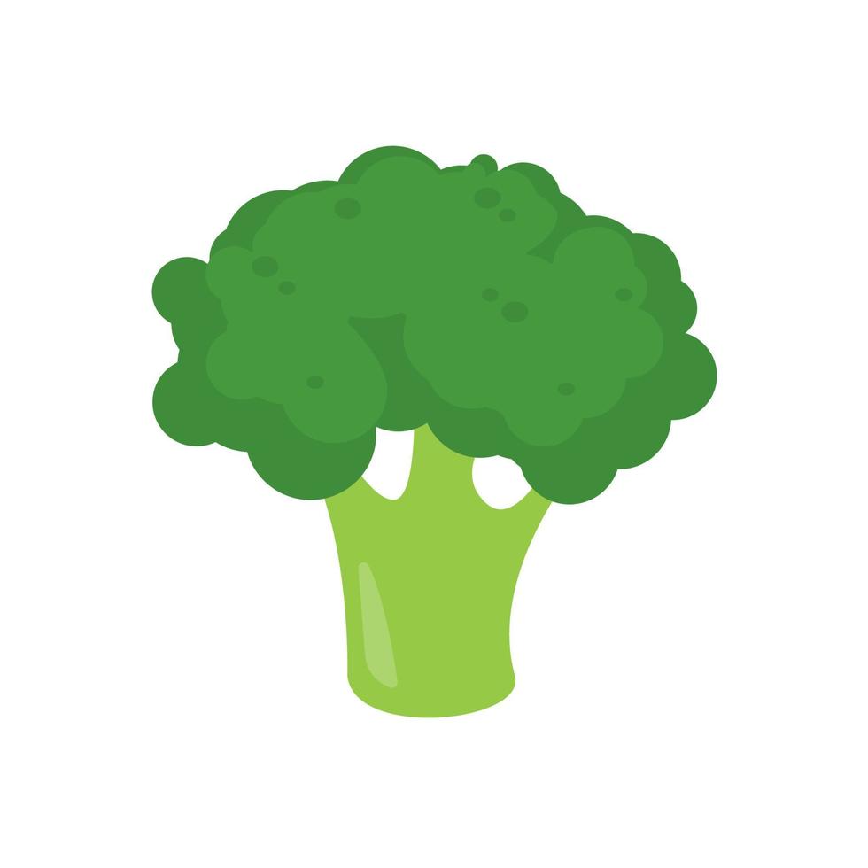 Green broccoli. healthy vegetables for kids vector
