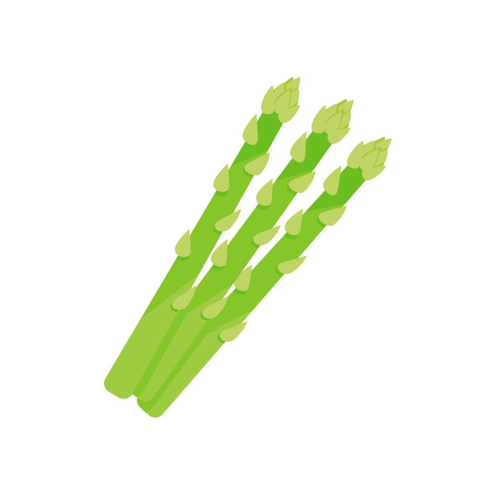 Asparagus Ingredients for Healthy Cooking vector