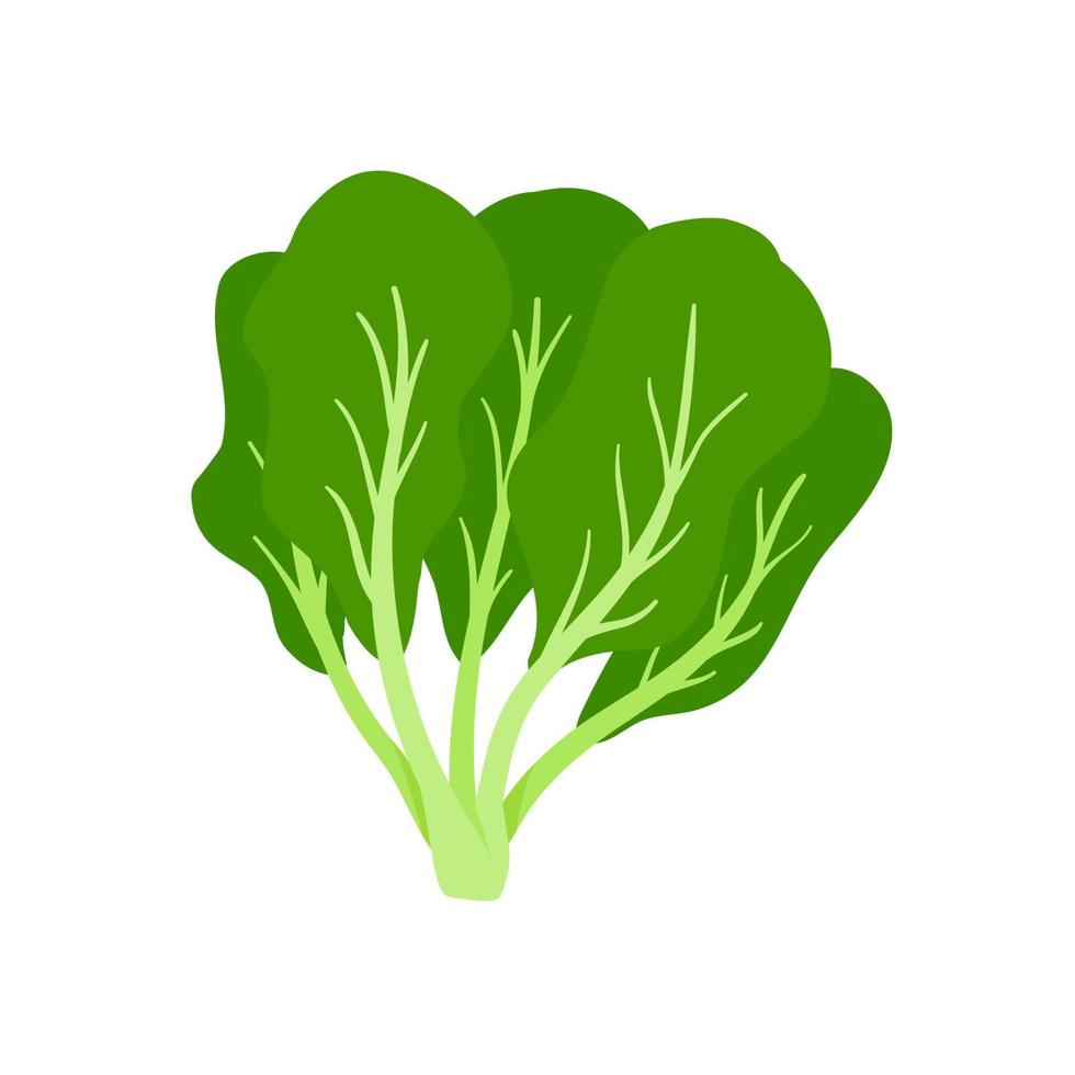 vector de espinacas hojas verdes saludables para los amantes de la salud.