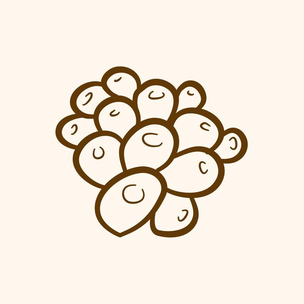 berry, coffee bean, hand drawn style of berry vector