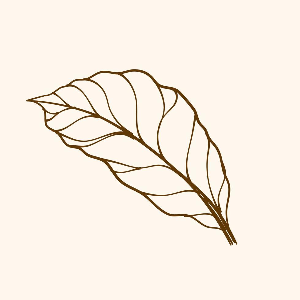 Vector outline of leaf, leaf illustration