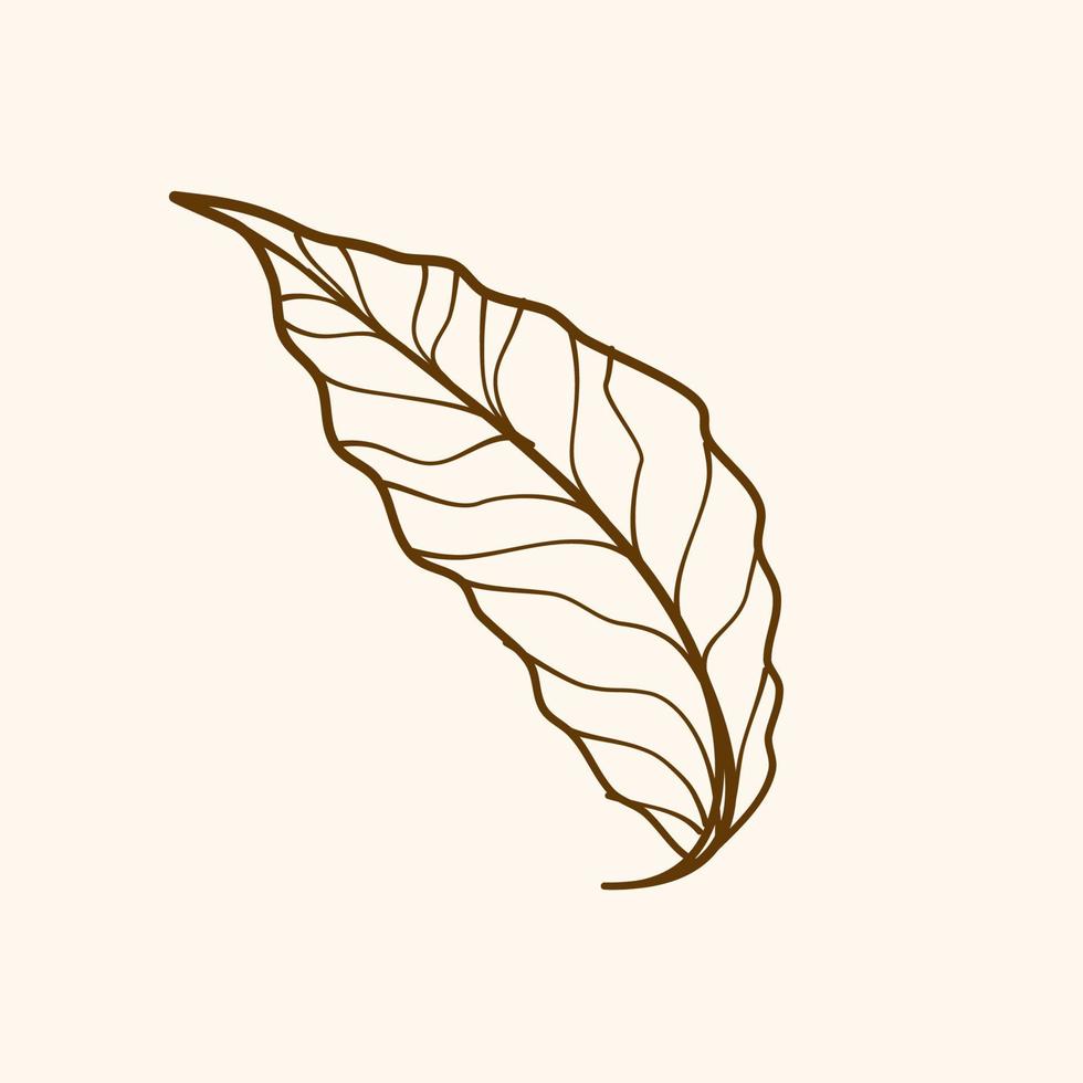 Leaf vector illustration