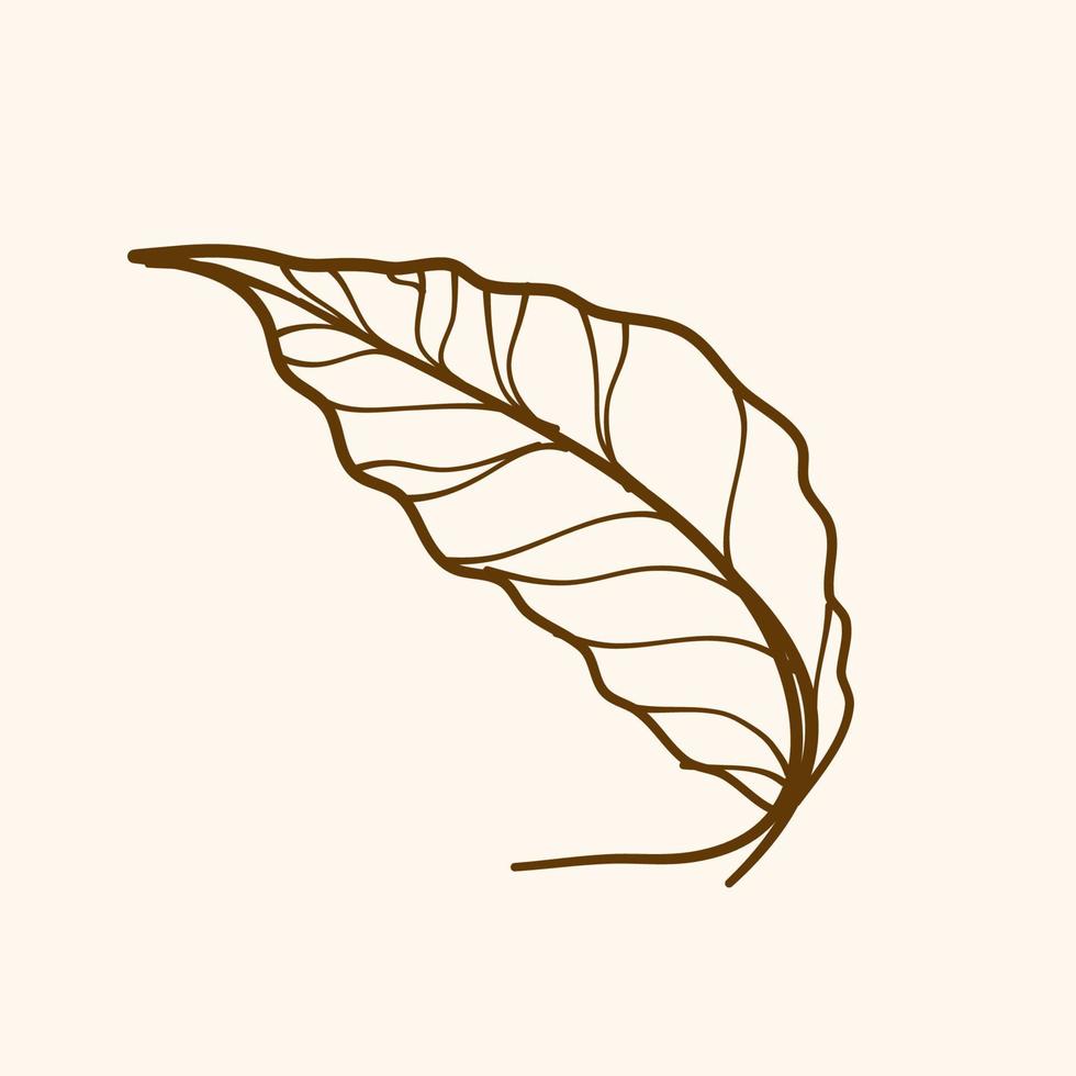 Leaf vector, simple design of leaf vector