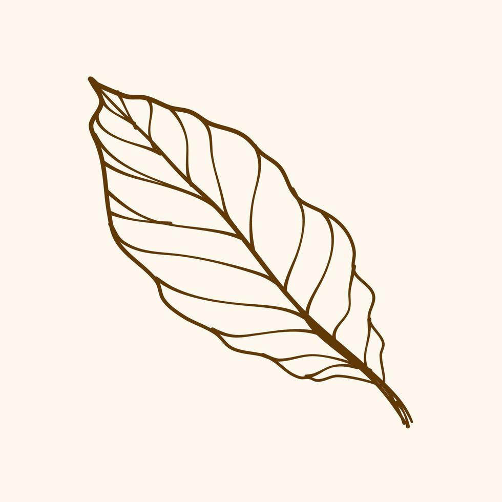 Leaf outline, simple illustration of leaf vector