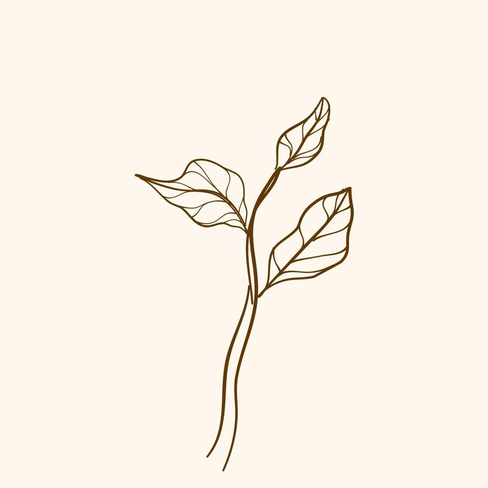 rawn decorative elements. Vector branches and leaves. Hand drawn floral elements.