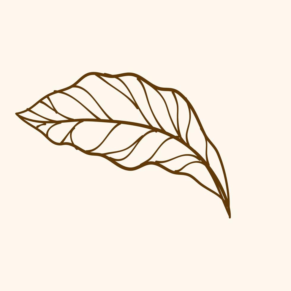 Vector hand drawn black line design elements, outline leaf, Simple line of leaf