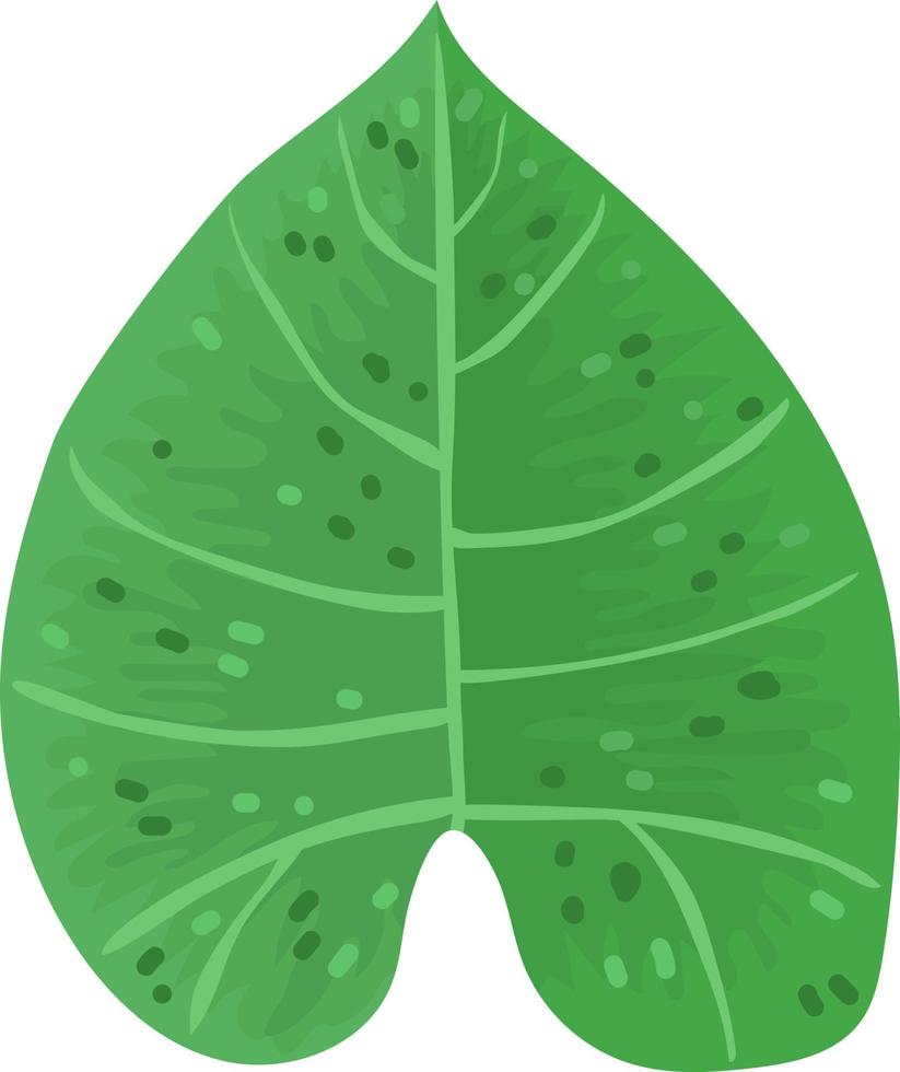 Ilustración de vector de verano de hoja verde exótica sobre fondo blanco. planta colorida pintada a mano para cualquier diseño.