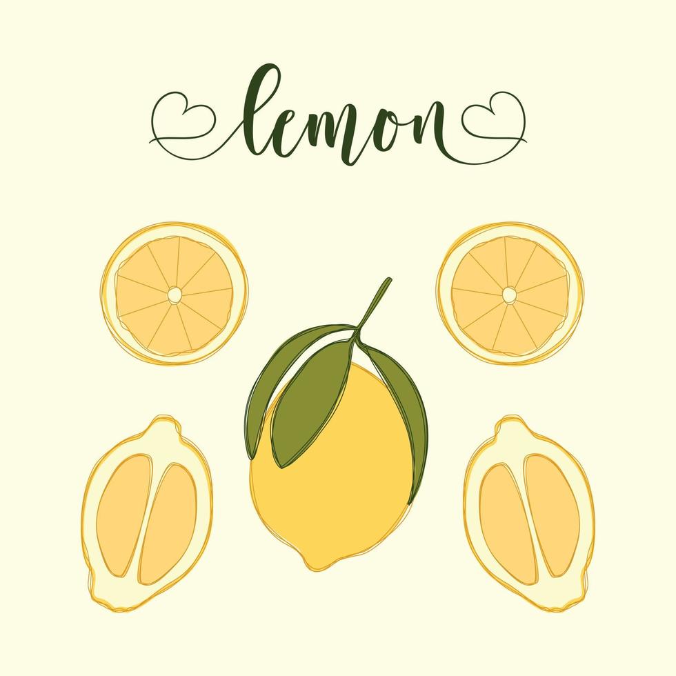 Lemon Isolated Objects. Hand-drawn elements. vector