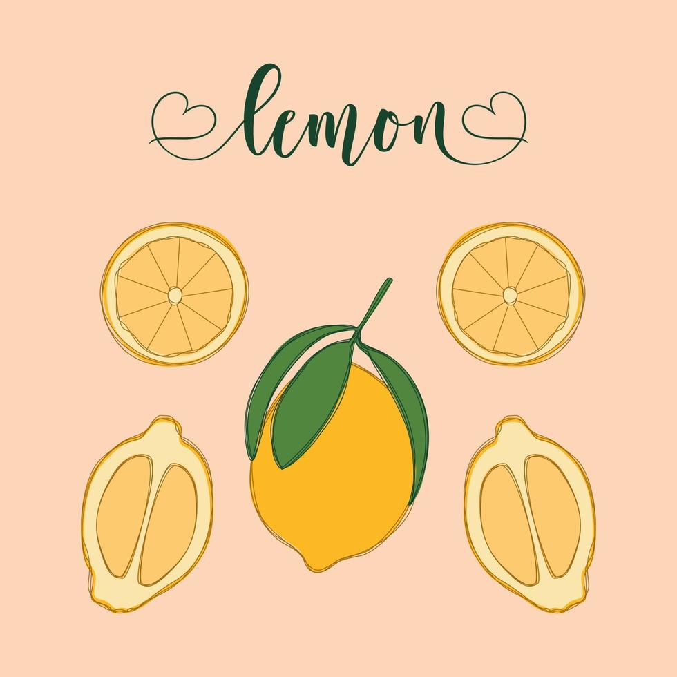 Lemon Isolated Objects. Hand-drawn elements. vector