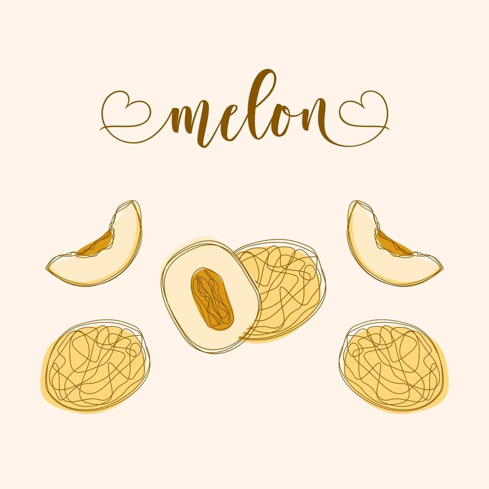 Melon Isolated Objects. Hand-drawn elements. vector