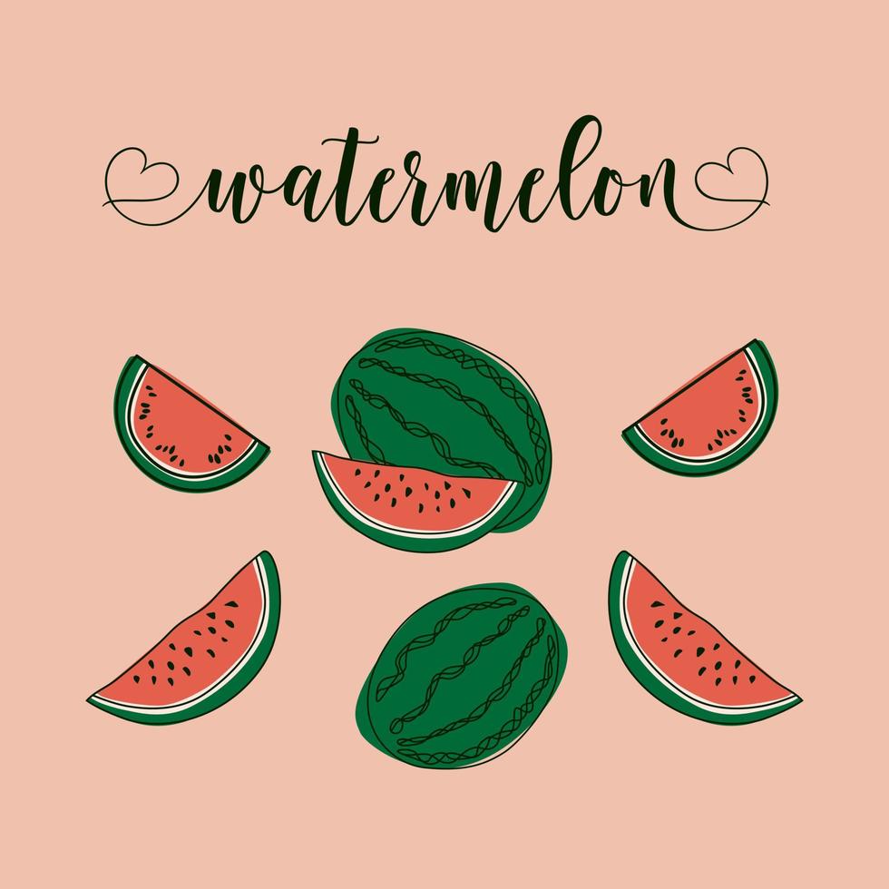 Watermelon Isolated Objects. Hand-drawn elements. vector