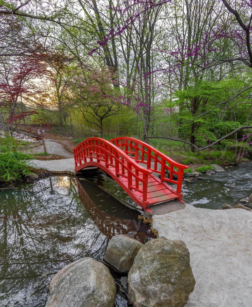 puente rojo de estilo japonés en los jardines de cranbrook, tiro de michigan durante la primavera. foto