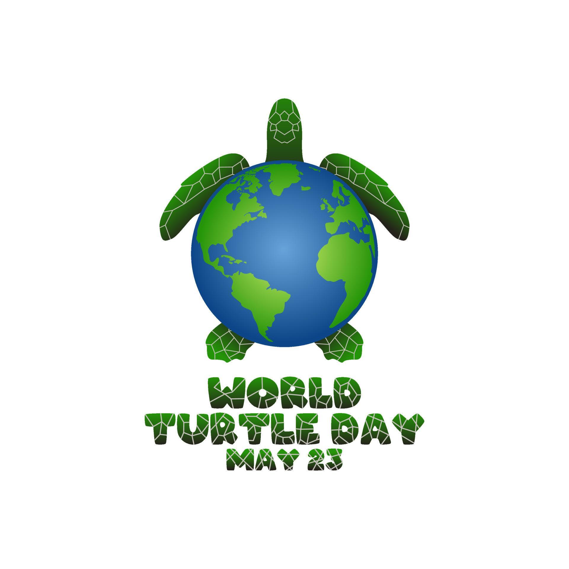 vector graphic of world turtle day good for world turtle day
