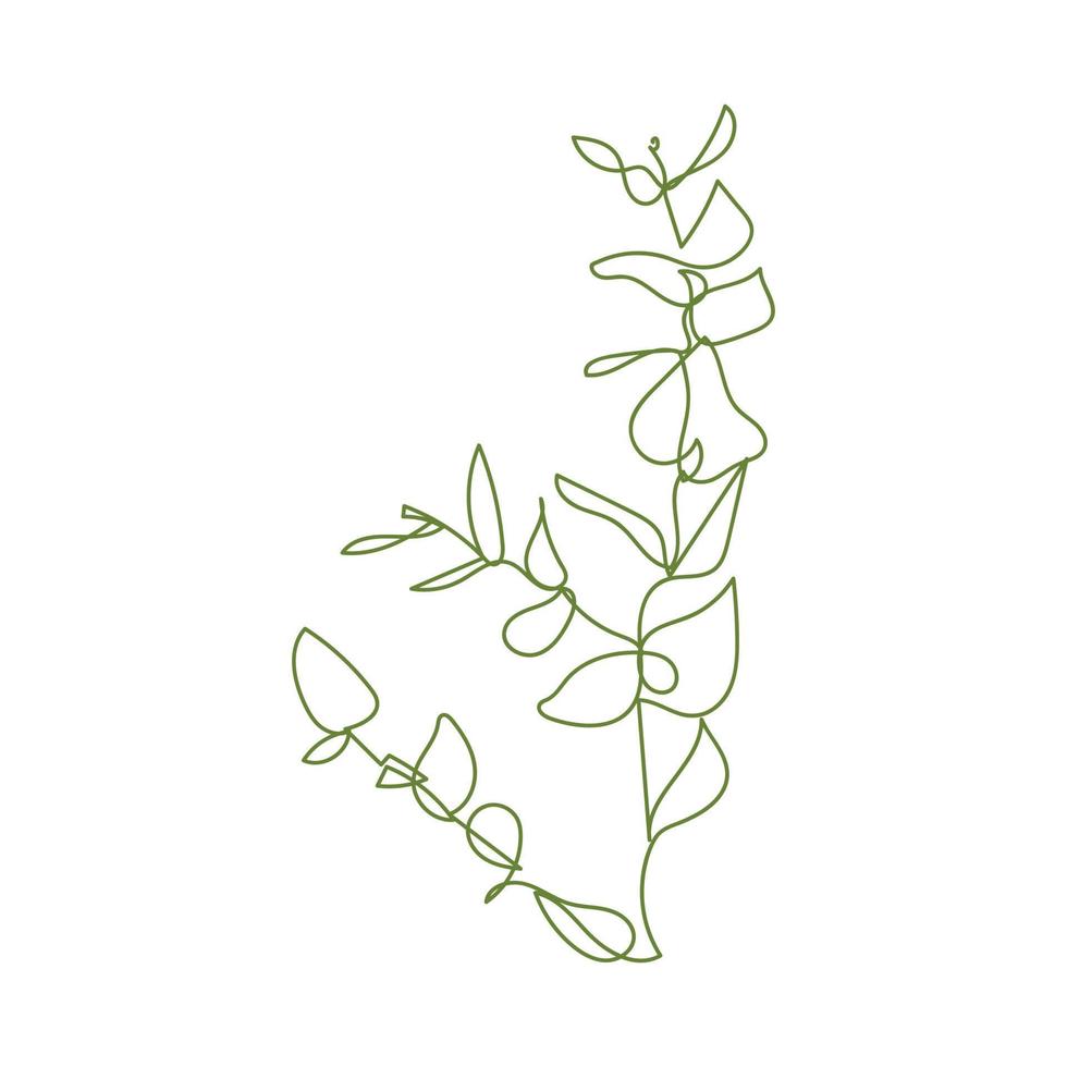 Plant in one line on white background. Hand drawn minimalism herbal element. Simple illustration, outline. Floral Continuous.  Vector