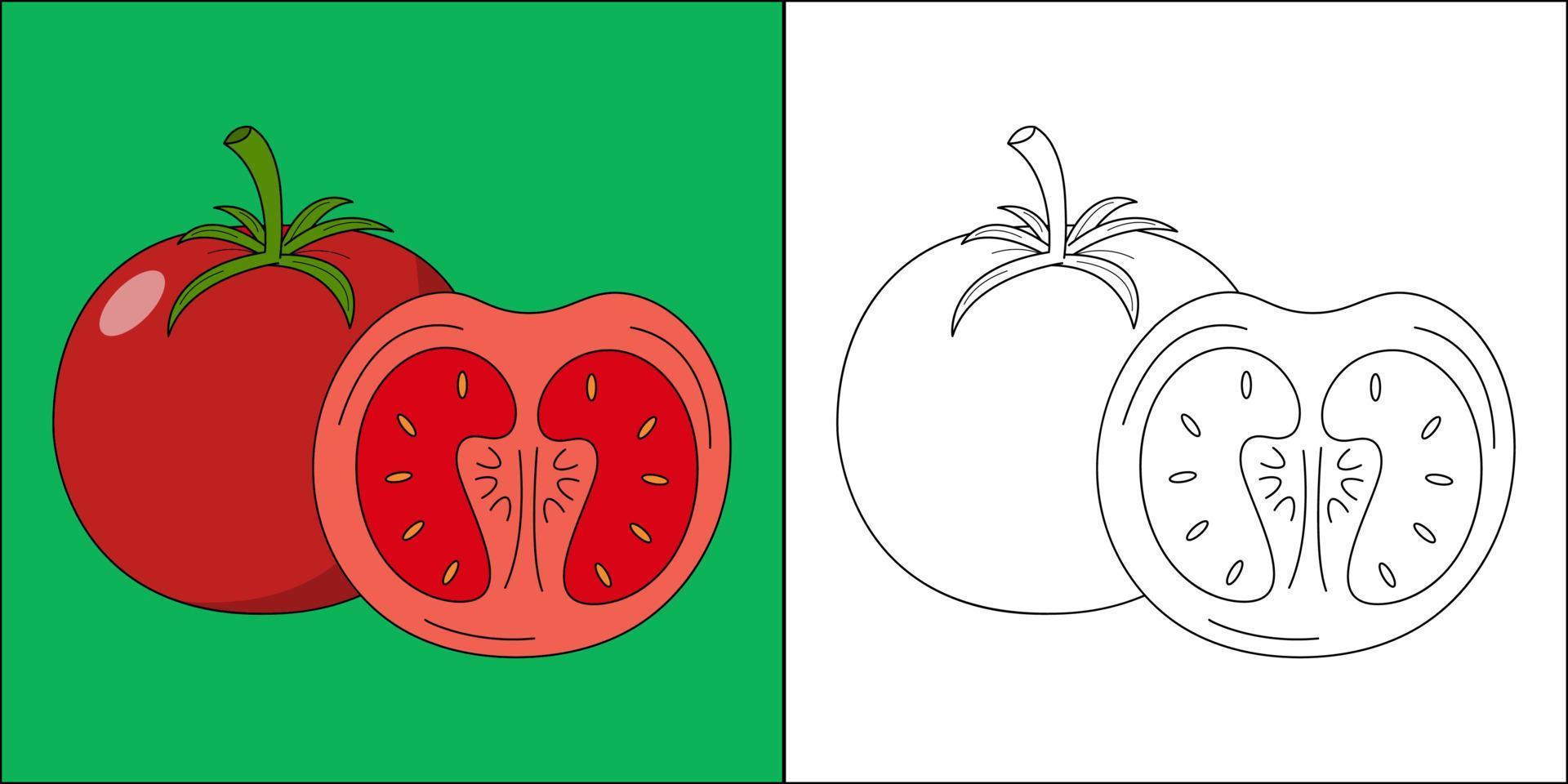 tomates frescos adecuados para la ilustración de vector de página para colorear de niños