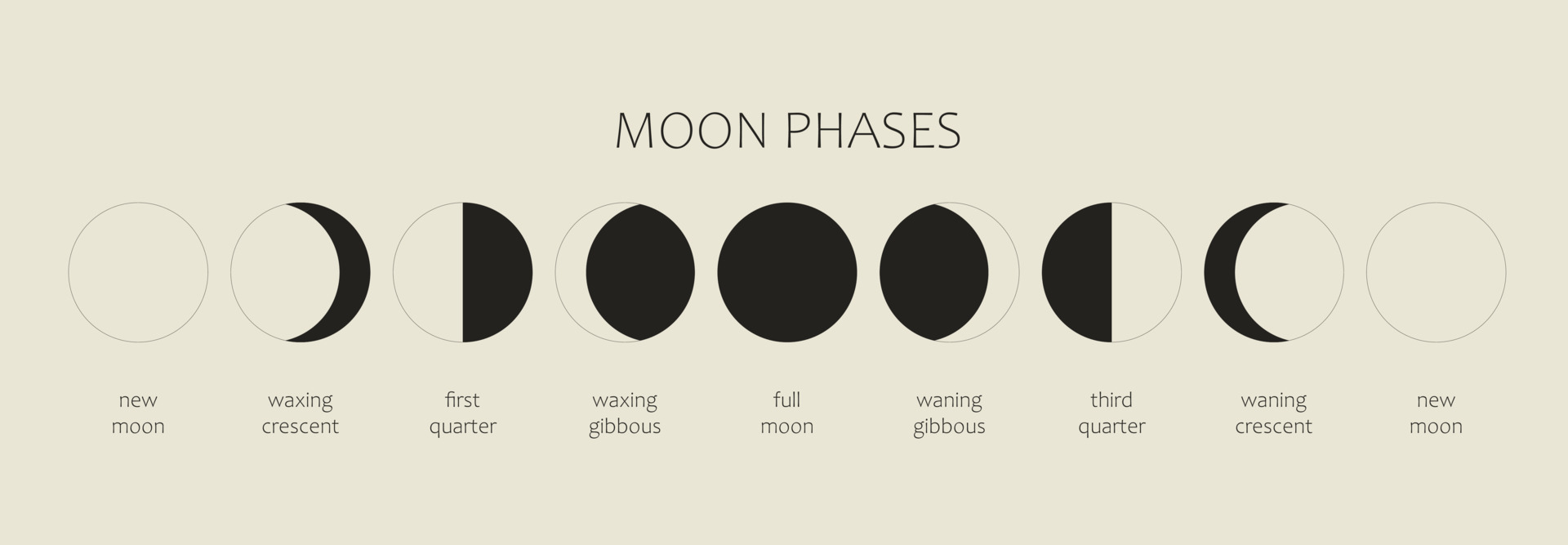 The Moon, Moon Phases on a black background. The whole cycle from