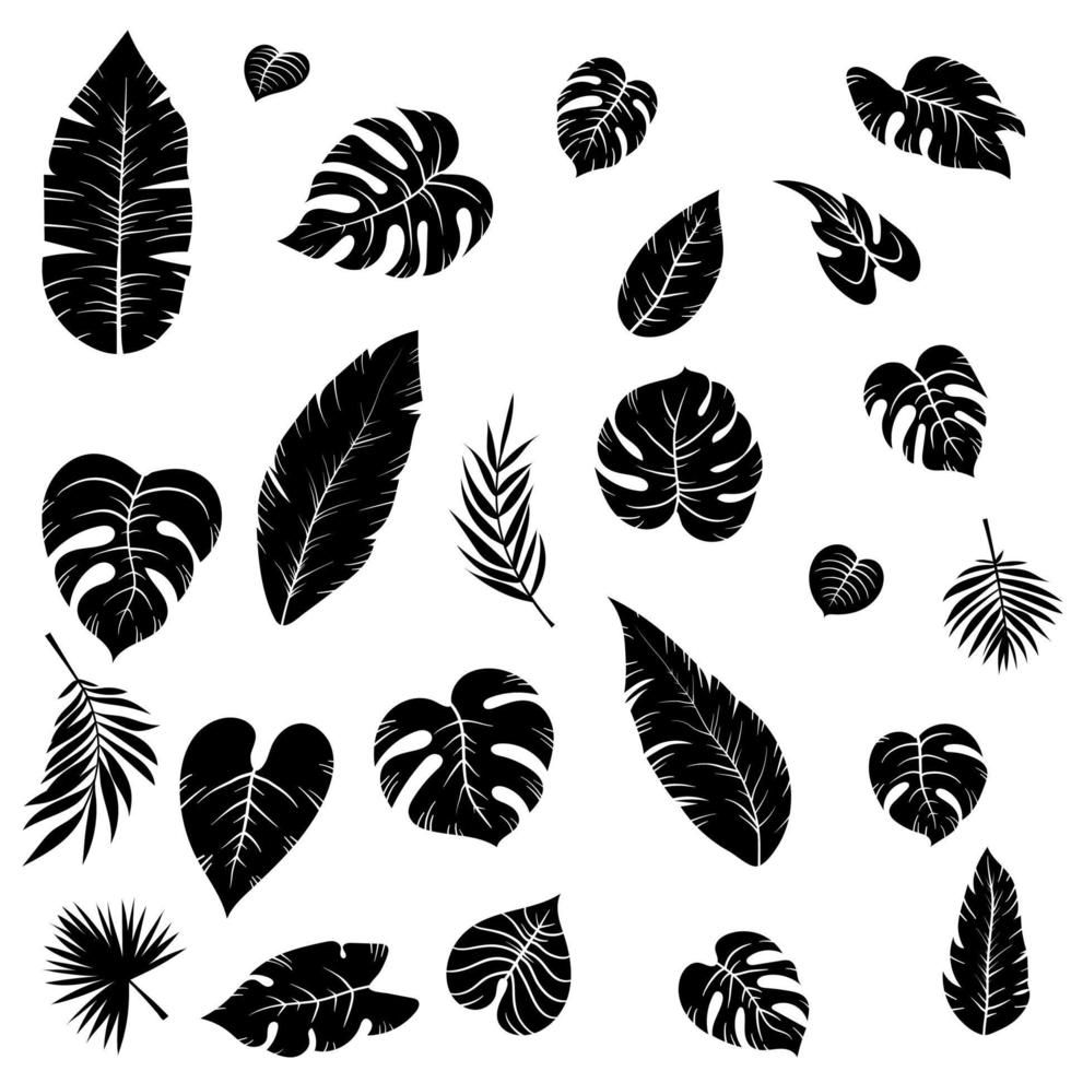 conjunto de hojas exóticas tropicales de silueta negra dibujadas a mano de diferentes tipos. plantas de la selva hojas de hibisco, monstera y hojas de palma. ilustración vectorial botánica aislada sobre fondo blanco vector