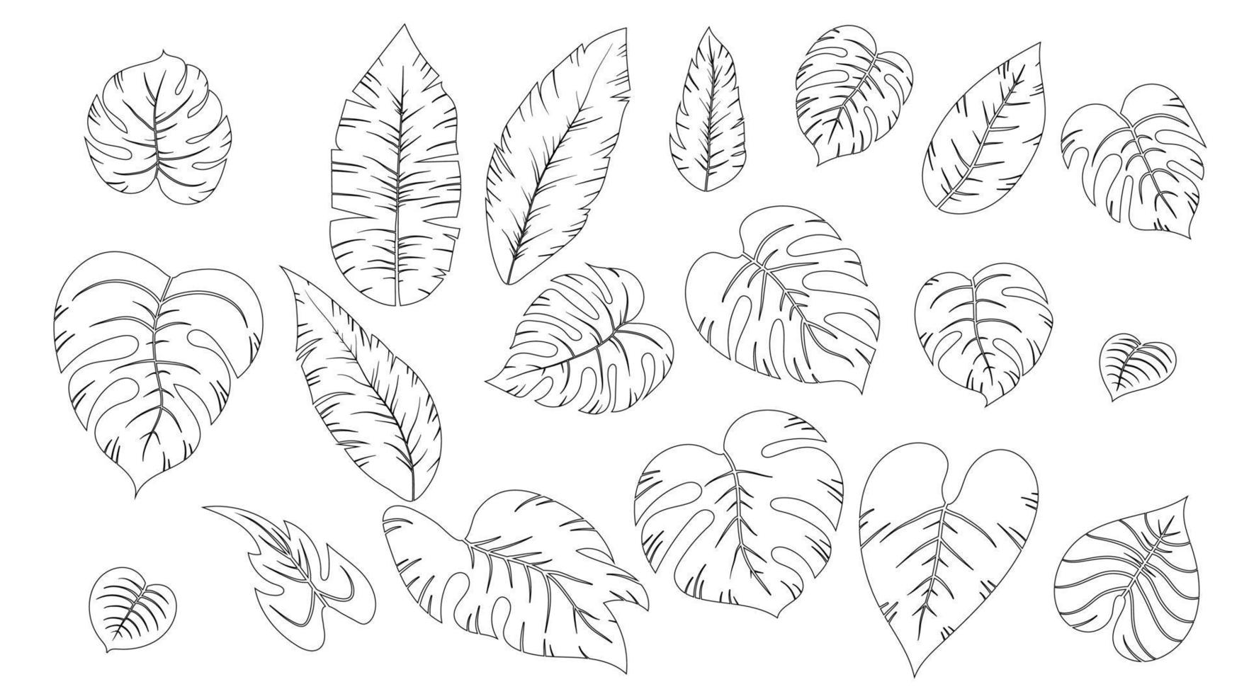 Set of line coloring tropical exotic leaves of different types. Contour jungle plants. Hibiscus leaves, monstera and palm leaves. Outline hand drawn botanical vector illustration isolated on white.