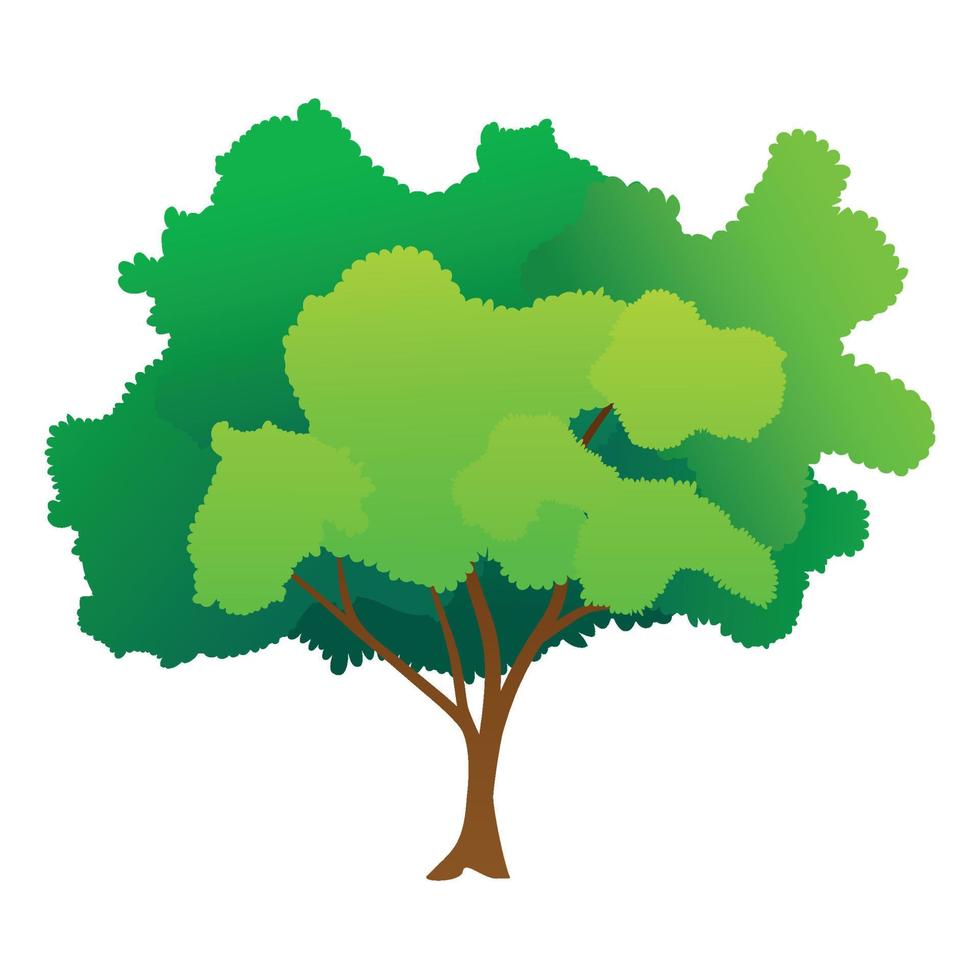 ilustración de vector de dibujos animados de árbol verde. árbol de primavera aislado en blanco. planta de bosque natural. plantilla de jardín de ecología